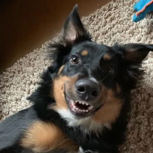 Meet your Posher, Jay